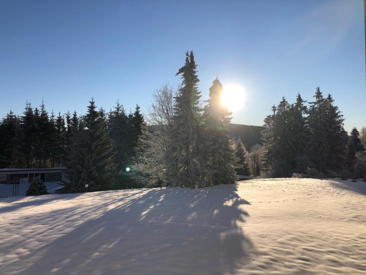 Appartamento Bocksbergglueck In Hahnenklee, Endreinigung, Bezogene Betten, Handtuecher Inklusive Goslar Esterno foto