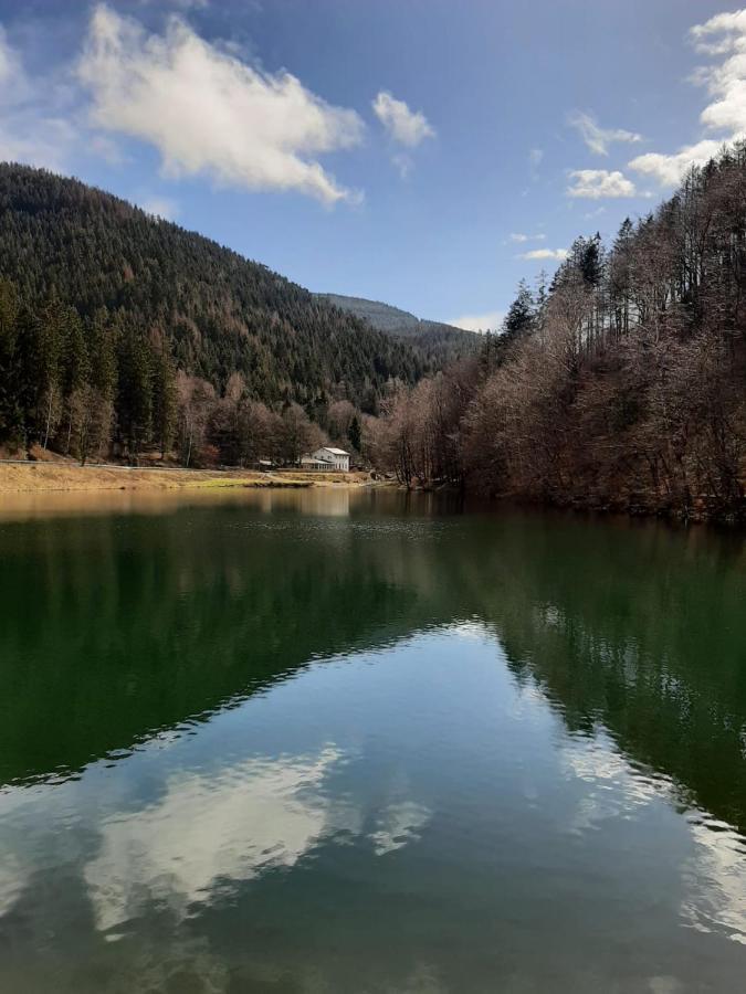 Bocksbergglueck In Hahnenklee, Endreinigung, Bezogene Betten, Handtuecher Inklusive Goslar Esterno foto