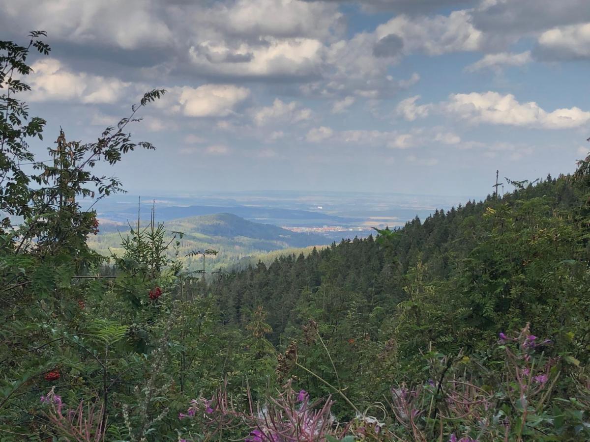 Bocksbergglueck In Hahnenklee, Endreinigung, Bezogene Betten, Handtuecher Inklusive Goslar Esterno foto