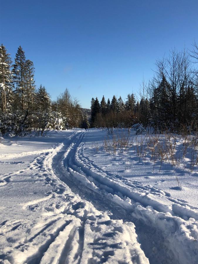 Bocksbergglueck In Hahnenklee, Endreinigung, Bezogene Betten, Handtuecher Inklusive Goslar Esterno foto